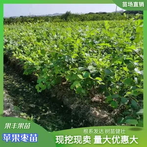 ̨��ţ���������������� �۸����