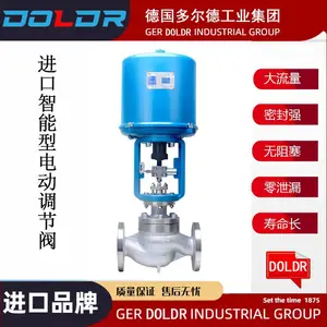 进口电动调节阀-德国多尔德DOLDR品牌