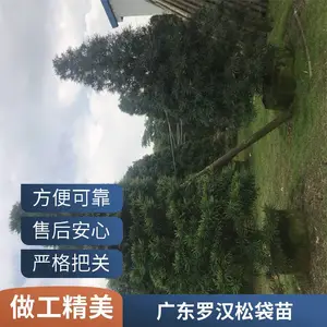 �ڷ�3-3.5�������޺��� ԰�־����̻������� �����޺���������
