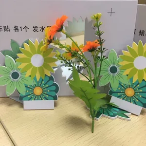 ��������д���ѻ�չ������װ�γİ�ĳ�������