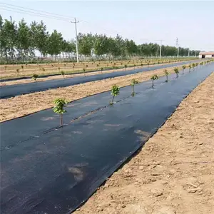 湖北2米宽防草布 葡萄园秋季固定方法