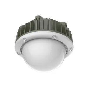 LED防爆平台灯50W 化工厂LED防爆平台灯50w