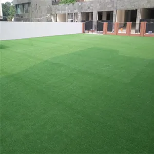��������ƺ���� �����������ƺ �����Լ��÷����