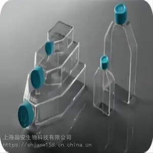 上海晶安定制多聚赖氨酸包被细胞培养瓶 PDL预处理t25t75培养瓶 胶原蛋白包被培养瓶