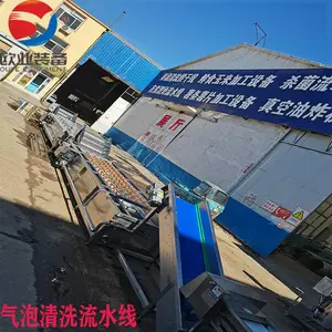 Ԥ�Ʋ˼ӹ���ˮ�� ȫ�Զ�����Ʒ��ϴ�豸 ������ϴ����