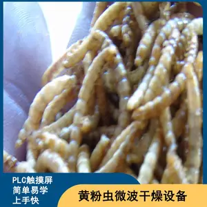 磊沐微波活体虫子干燥膨化设备 全自动 黄粉虫灭活设备
