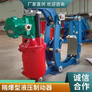 防爆液压缸 DYW隔爆型电力液压鼓式制动器 匹配推动器 BEd301/6