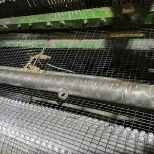 高锌层热镀锌电焊网 养鸡笼 规格齐全 生产厂家