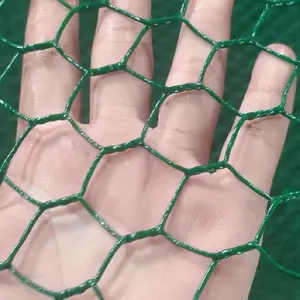 ˫�չ�Ӧ���� ��ɫ��ֳ����