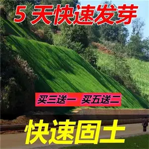 �ӱ�ʯ��ׯ���໤�������ֳ�������Ұ����ϲ�����