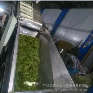 ΢���ڲ����豸,΢���ڲ�ɱ���,�ڲ�΢�������豸