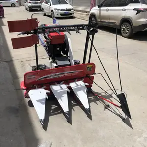 ���ȽոѸ�ɹ�� ��ֳ�õ����ո�� ������С�ͷ�Ƭ��