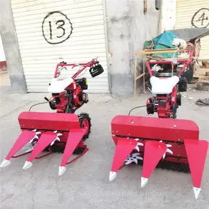 �����ַ�������ɹ�� ��С�͸�˻� �ǲ���ֳ�����ո��