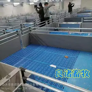 泊头市良诸畜牧养猪场母猪欧式母猪产床热浸锌大架