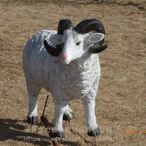 ���������̳����� ������߲����ֵ��ܳ����ļҺ�