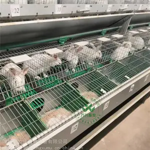 Ʒ������ֳ������ ˫�������� ��ʽ�����豸
