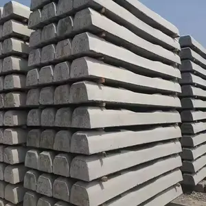����������ľ ������ͽ���ľ ������ľע����ľ