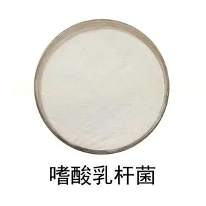嗜酸乳杆菌-冻干型乳酸菌粉 食品级产酸发酵益生菌活菌原料