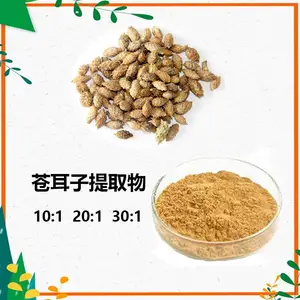 苍耳子提取物 10:1 水提 多规格比例 沃特莱斯生物
