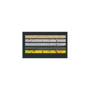 �����microtecľ��ɨ����Goldeneyeϵ��