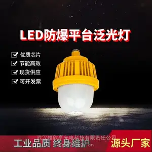 LED防爆灯BZY8315 50W化工厂防爆照明 BZY8312带U型支架防腐户外