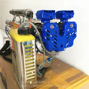 ��ֳ�������������� �����߲˴�ҩ������