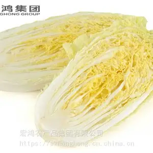 新鲜娃娃菜的做法一站式配送-宏鸿农产品