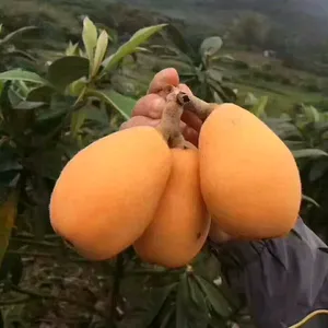 ��������������� ���˴������� �̰�ũҵ���ػ�Դ