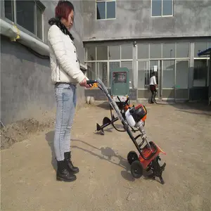 ���������� ����12���������� ���� ��԰������