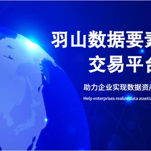 数据资产评估 欢迎咨询 上海羽山科技供应