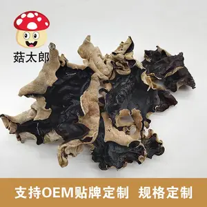��̫���޸� ëľ���ɻ� �ױ���ľ�� ��ľ�� ������ױ�ľ���ɳ����ձ�