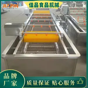 净菜清洗机价格 净菜配送清洗机厂家 定制 瓜果清洗流水线