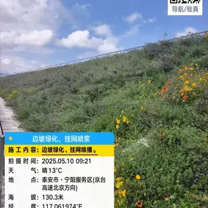 承接边坡绿化施工 挂网喷播植草护坡 液压喷草籽草灌 公路植被恢复