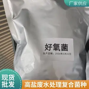 含盐废水处理耐高盐好氧菌种 复合菌种 高浓度固体粉末 支持定制