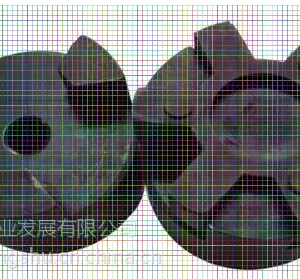 ������EUCHNER ��ȫ�г̿��� NZ2WO-528SVM5/090923���***