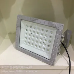 SW8131-高效节能防爆led灯-led防爆投光灯120w-led防爆照明灯具
