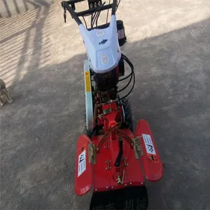 ����С����԰������ ɽ���������������� ���͹�����