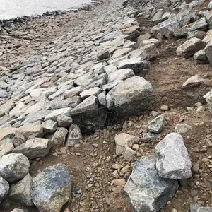 �����к�������רҵ���� ����ʯ���� ��п��ʯ����