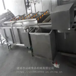 全自动水果清洗机 气泡式水果清洗机厂家