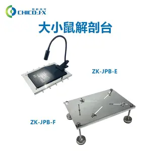 �����С����ʰ徵��304����ֲ��� �ǿ���͸�����ʰ� С�����ʵ��