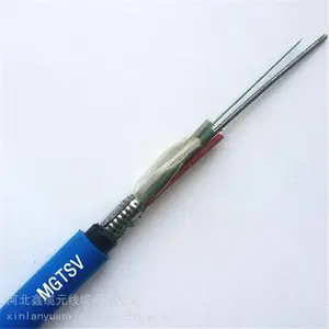������ȼ���� MGTSV ú���õ�ģ��װ���� ������