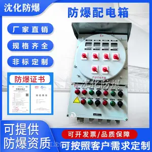 IIC级防爆配电箱 IP65照明动力仪表电伴热控制箱 检修电源插座箱