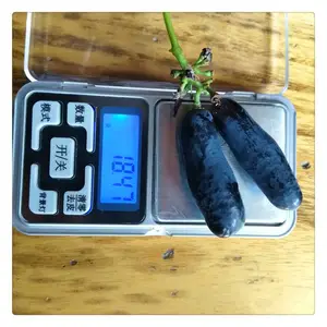 ��������ֲ���� ���ʸ߲�������ռ�� ����������