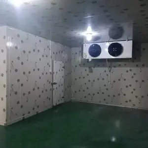 双流冻库安装 双流食品厂冻库 双流保鲜库安装 双流医药冻库 双流小型冻库