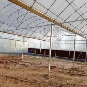 ����������ֲ������ͨ����������ܷ����ι�
