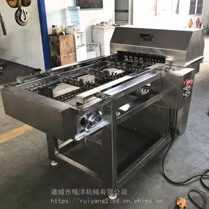 瑞洋玉米切段机 冻玉米切块机 玉米切头去尾机