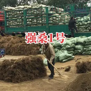 ����ǿɣ1��-ǿɣ3��-ǿɣ5�ż޽�ɣ�磨ͩ����������ľ���޹�˾��