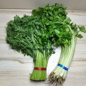 ������͸��Ĥ��װ�� �̰��������� ȫ�Զ���ά��װ��