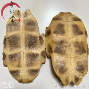 中药材龟板-龟甲龟板批发零售