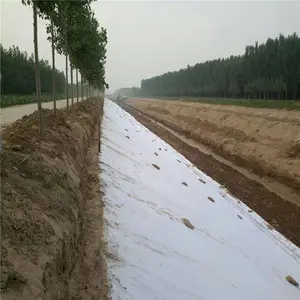 ��·�������������� ��ɫɻ���� ����ëձ��
